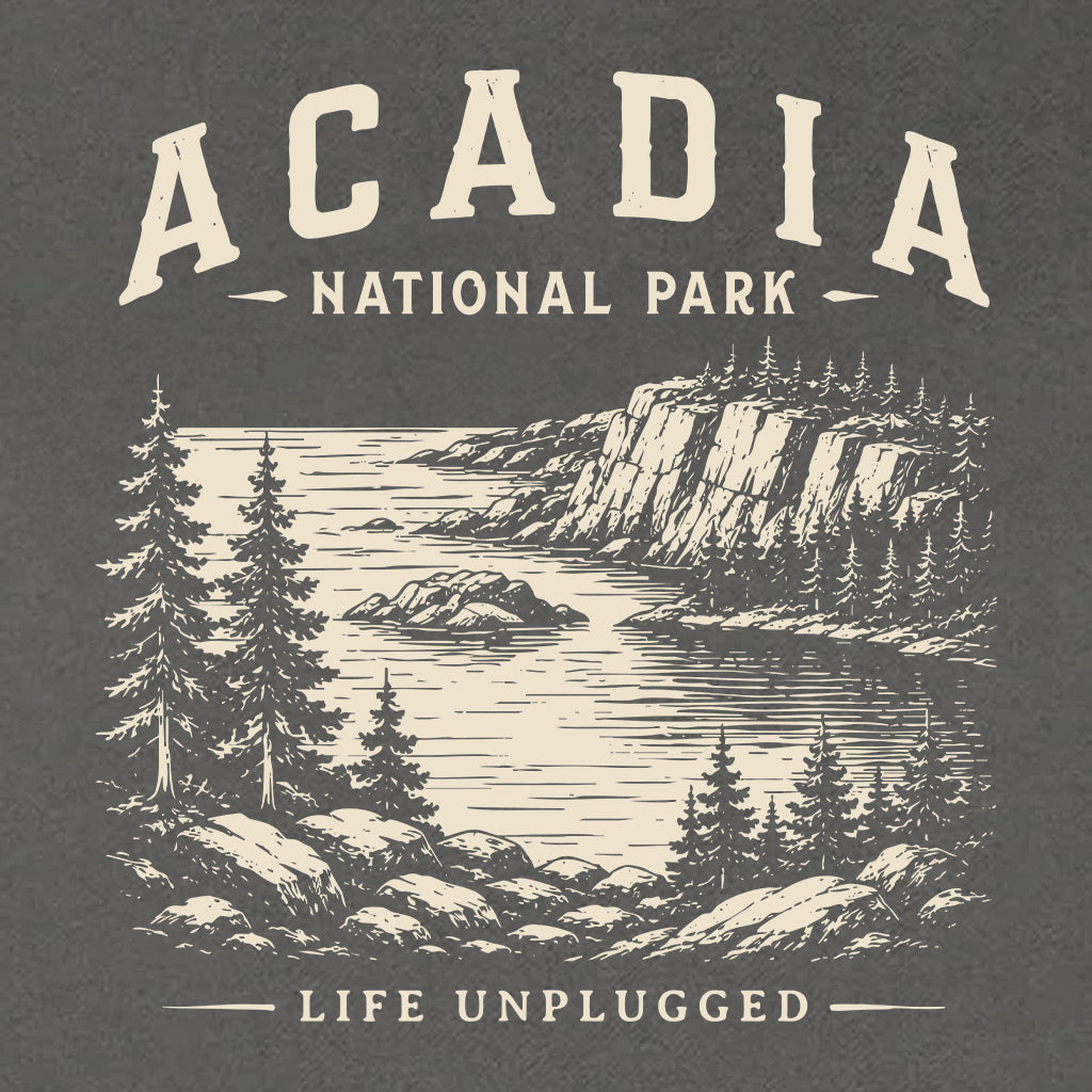 ACADIA NATIONAL PARK Heavyweight Hoodie