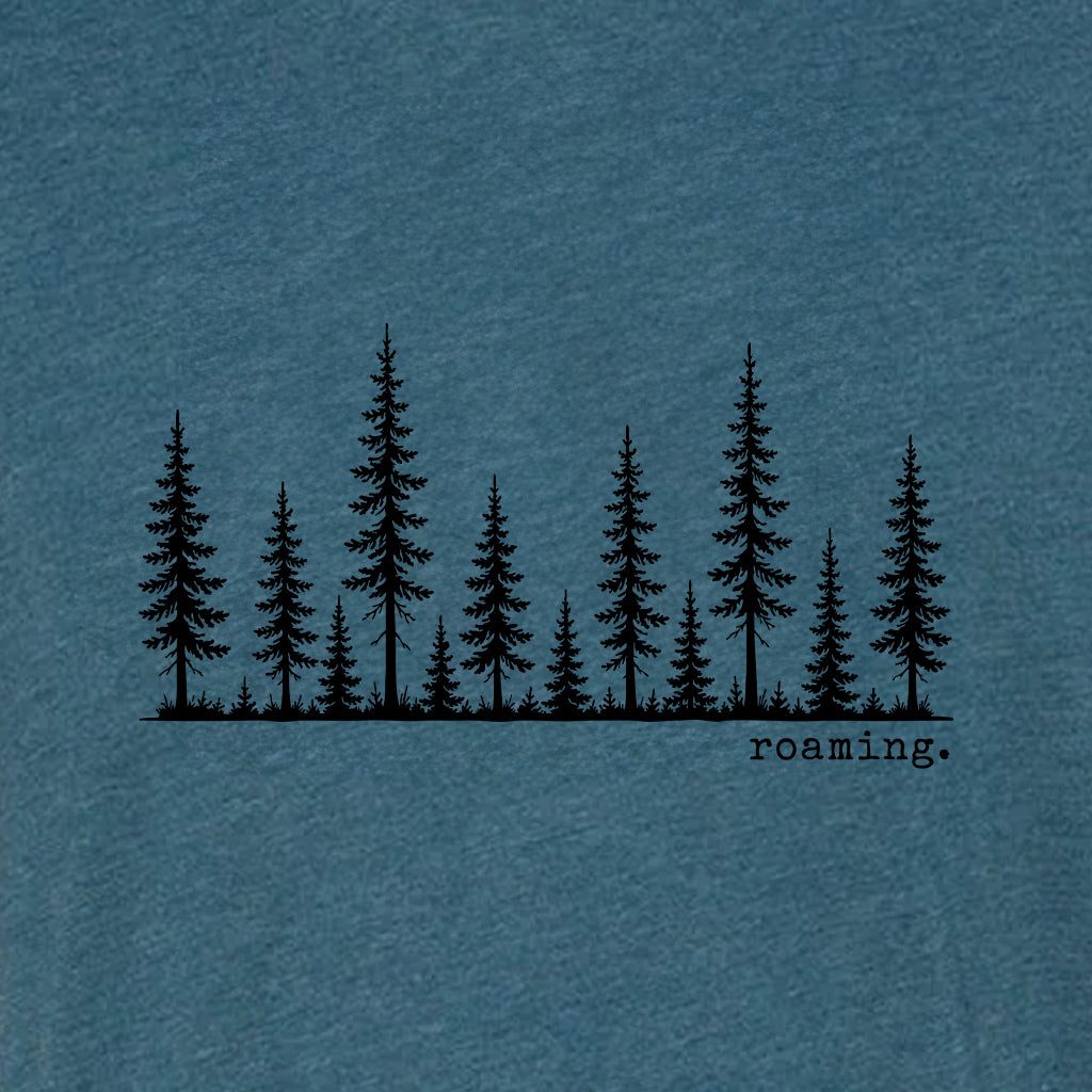 ROAMING Triblend T-Shirt