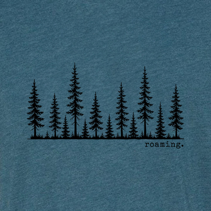ROAMING Triblend T-Shirt