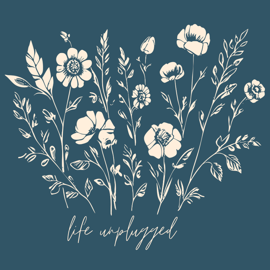Live in the Moment Wildflower Triblend T-Shirt
